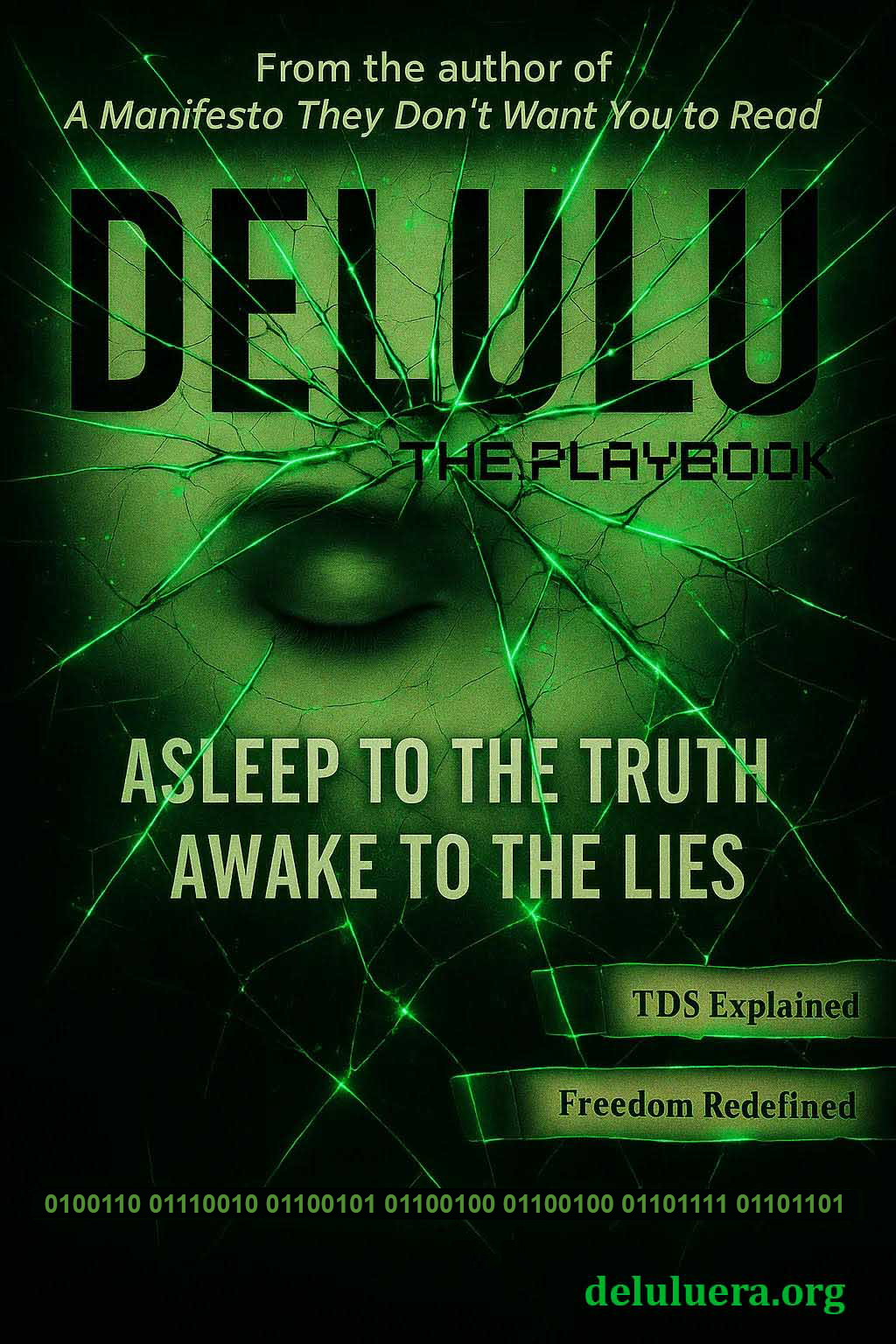 DELULU ERA The Playbook digital book cover